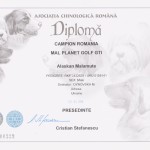 Чемпион Румынии